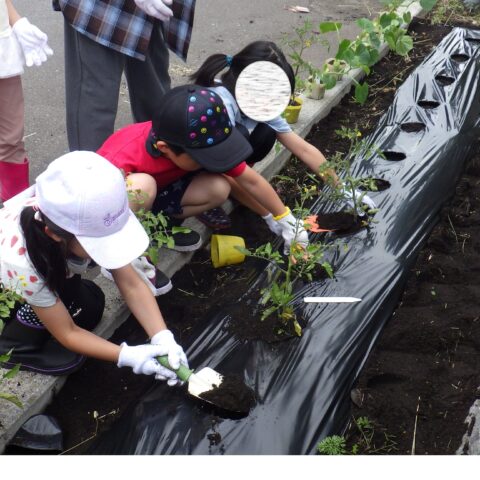 くるみ学園園芸活動🌱