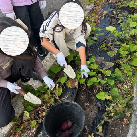 最高の秋の思い出🍠🍁