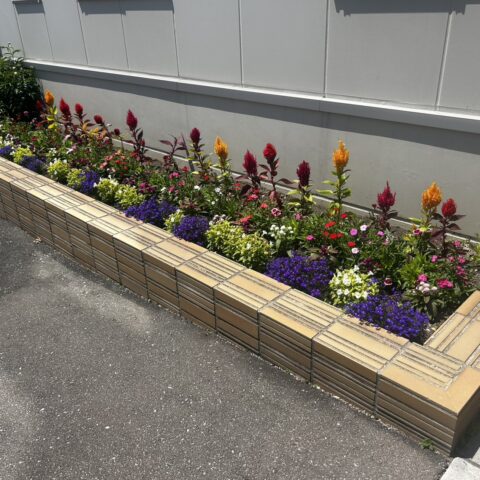 大沼学園様ありがとうございます✨
