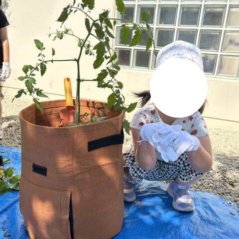 くるみ学園園芸活動がスタートしました。
